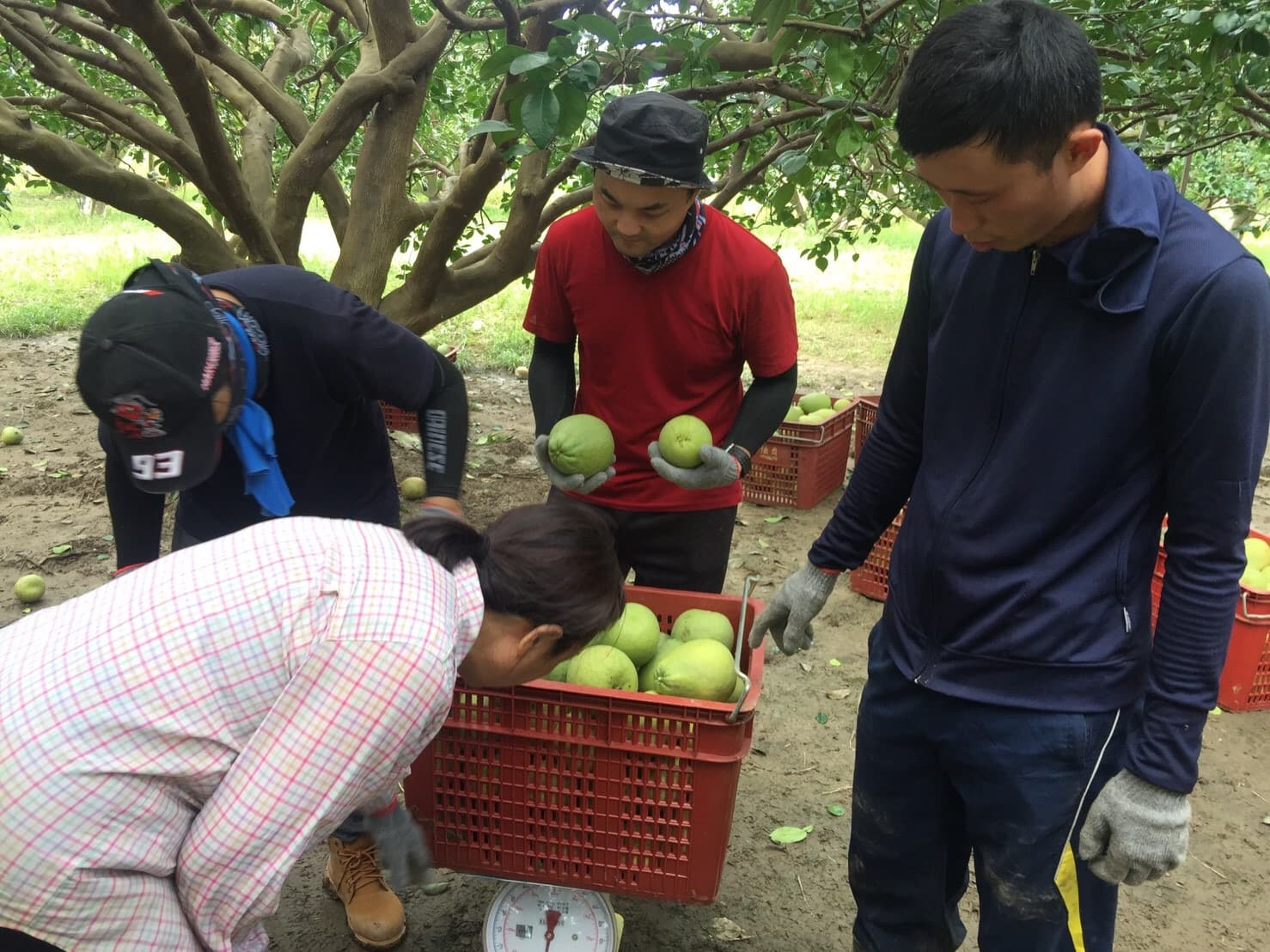 Background image 104