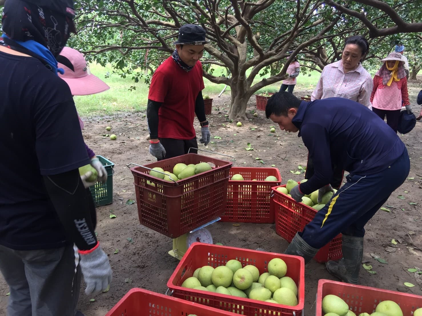 Background image 105