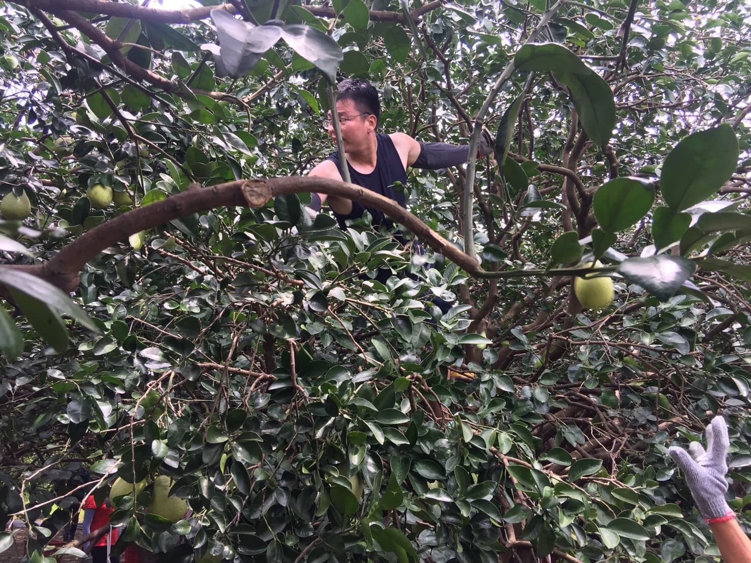 Background image 106