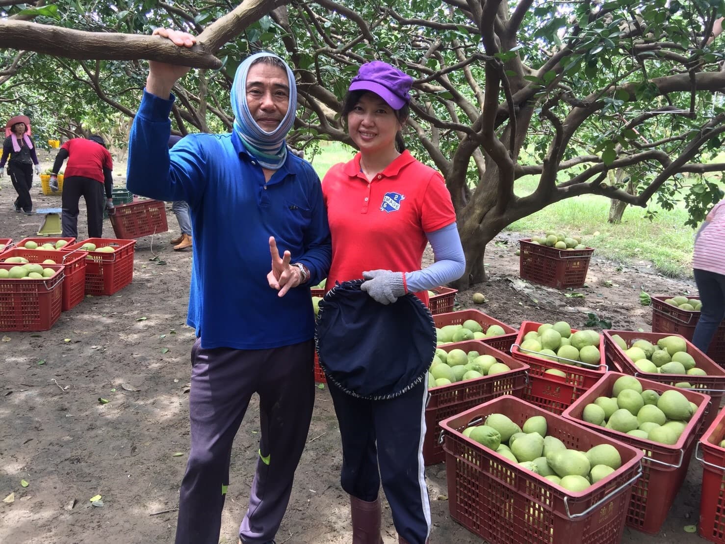 Background image 107