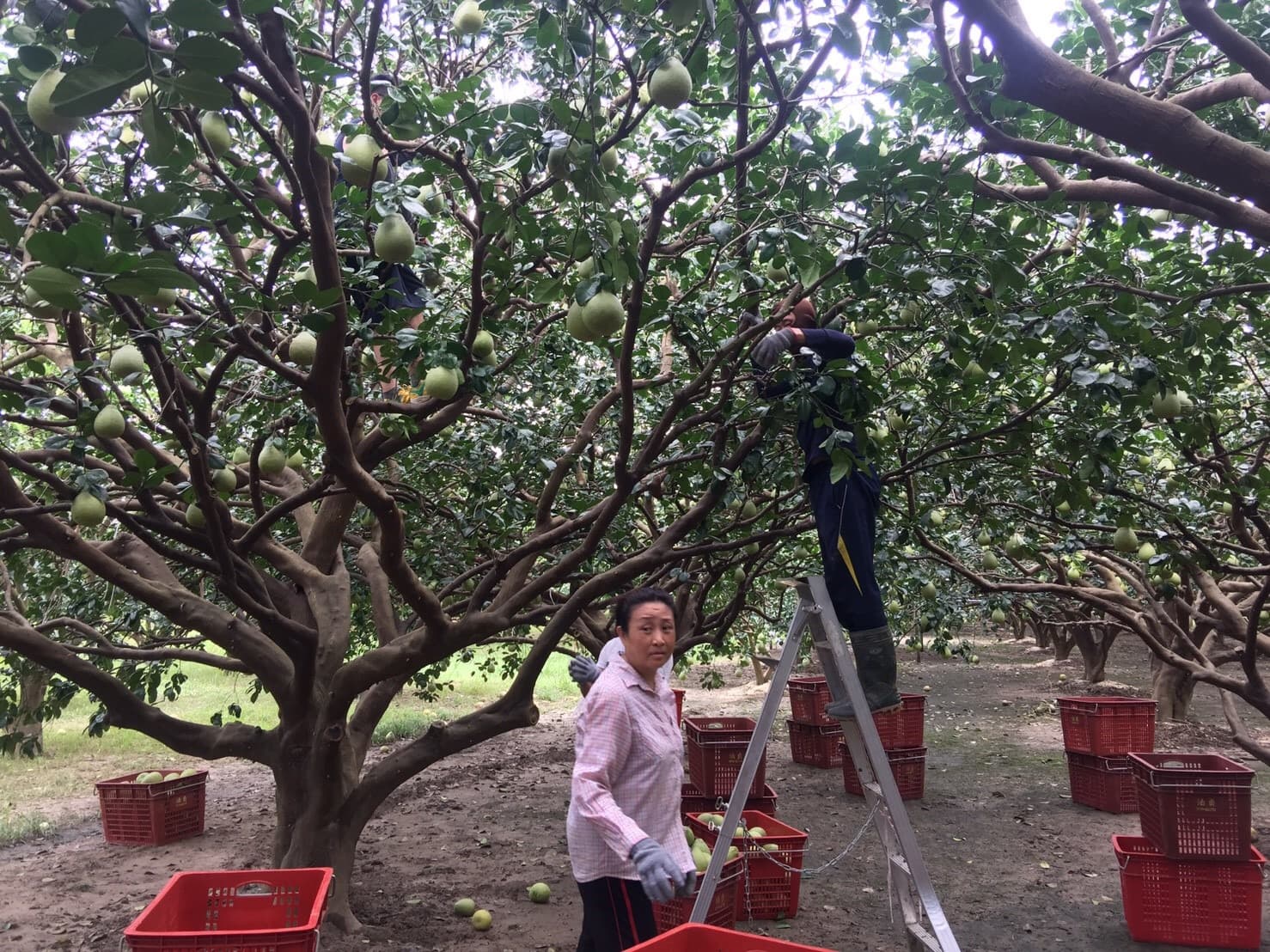 Background image 109