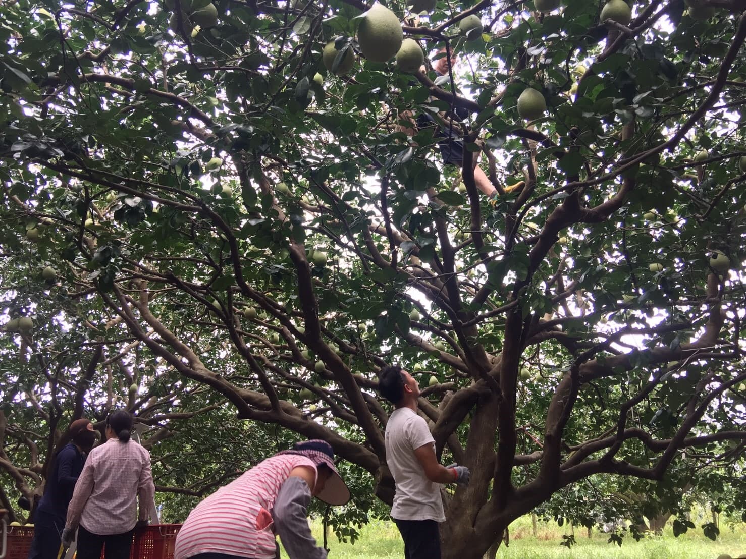 Background image 110