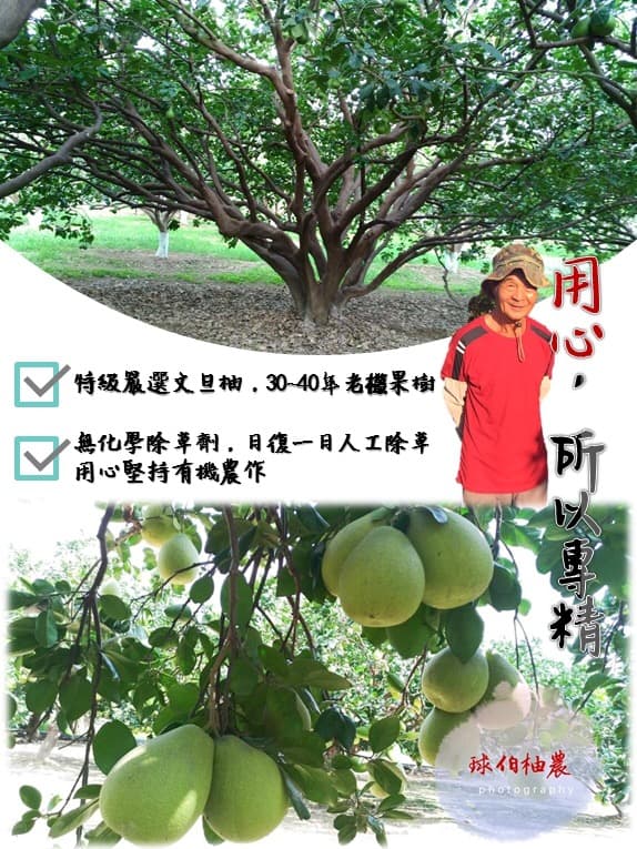 Background image 112