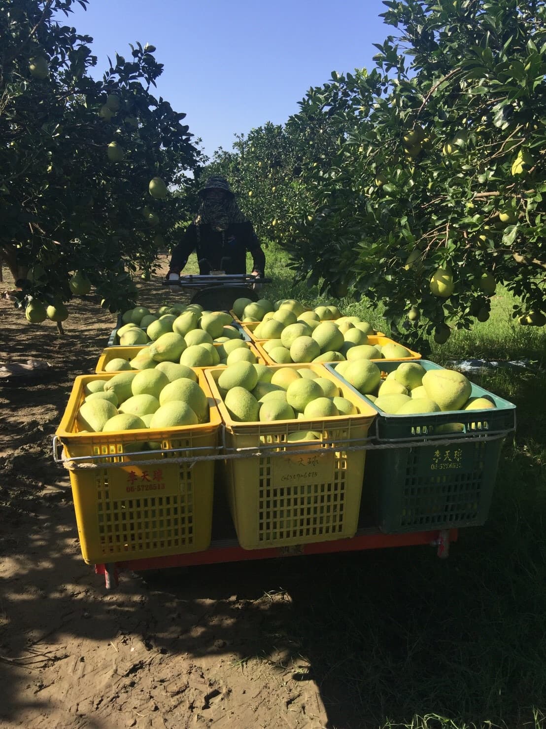 Background image 113