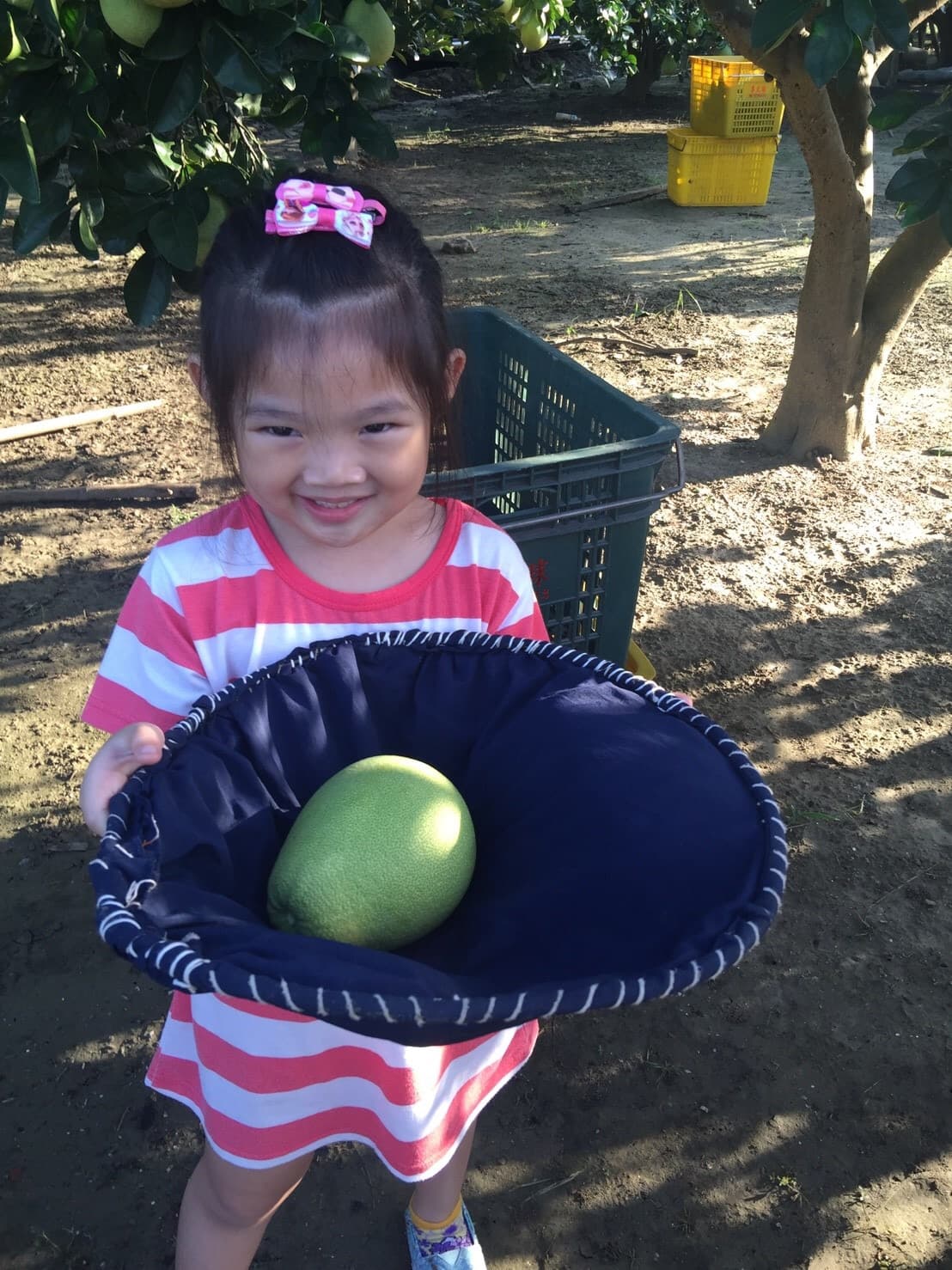 Background image 114