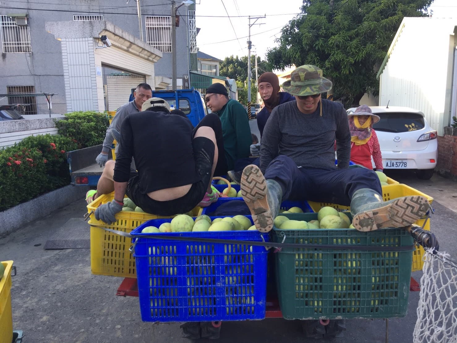 Background image 119