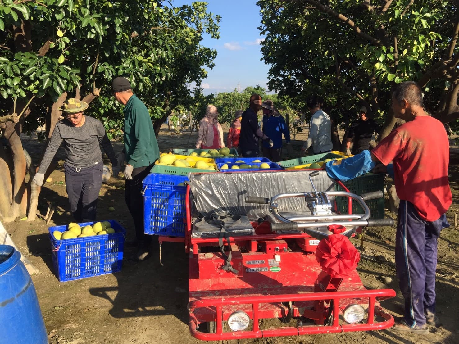 Background image 122