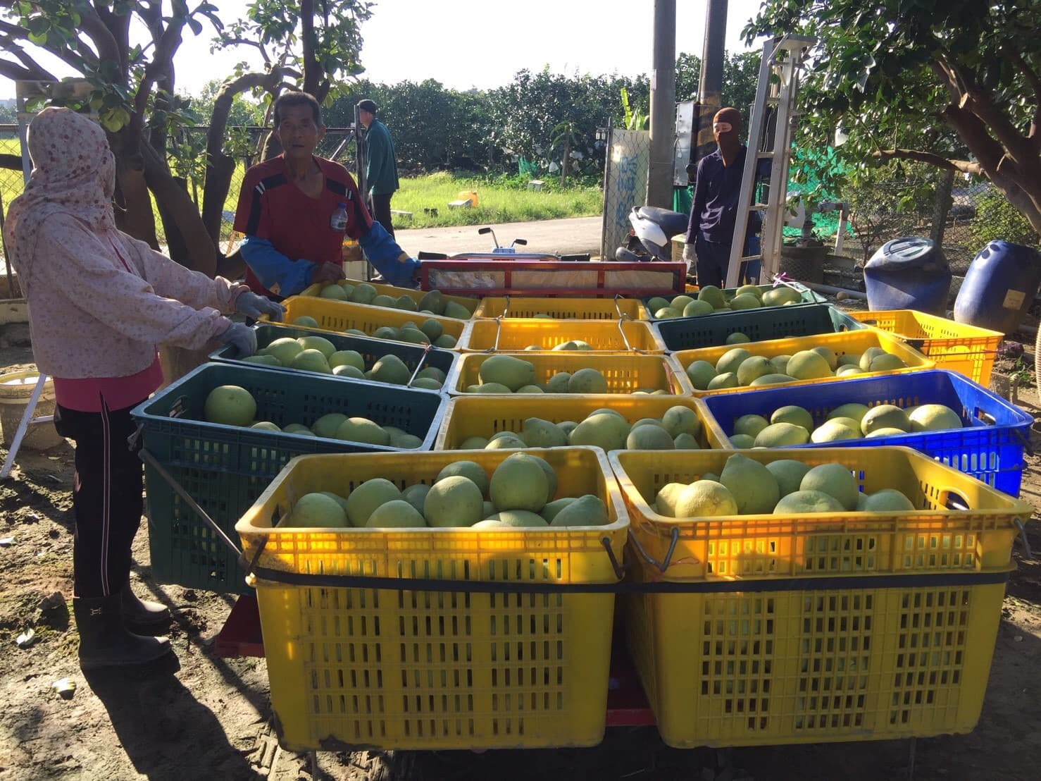 Background image 123