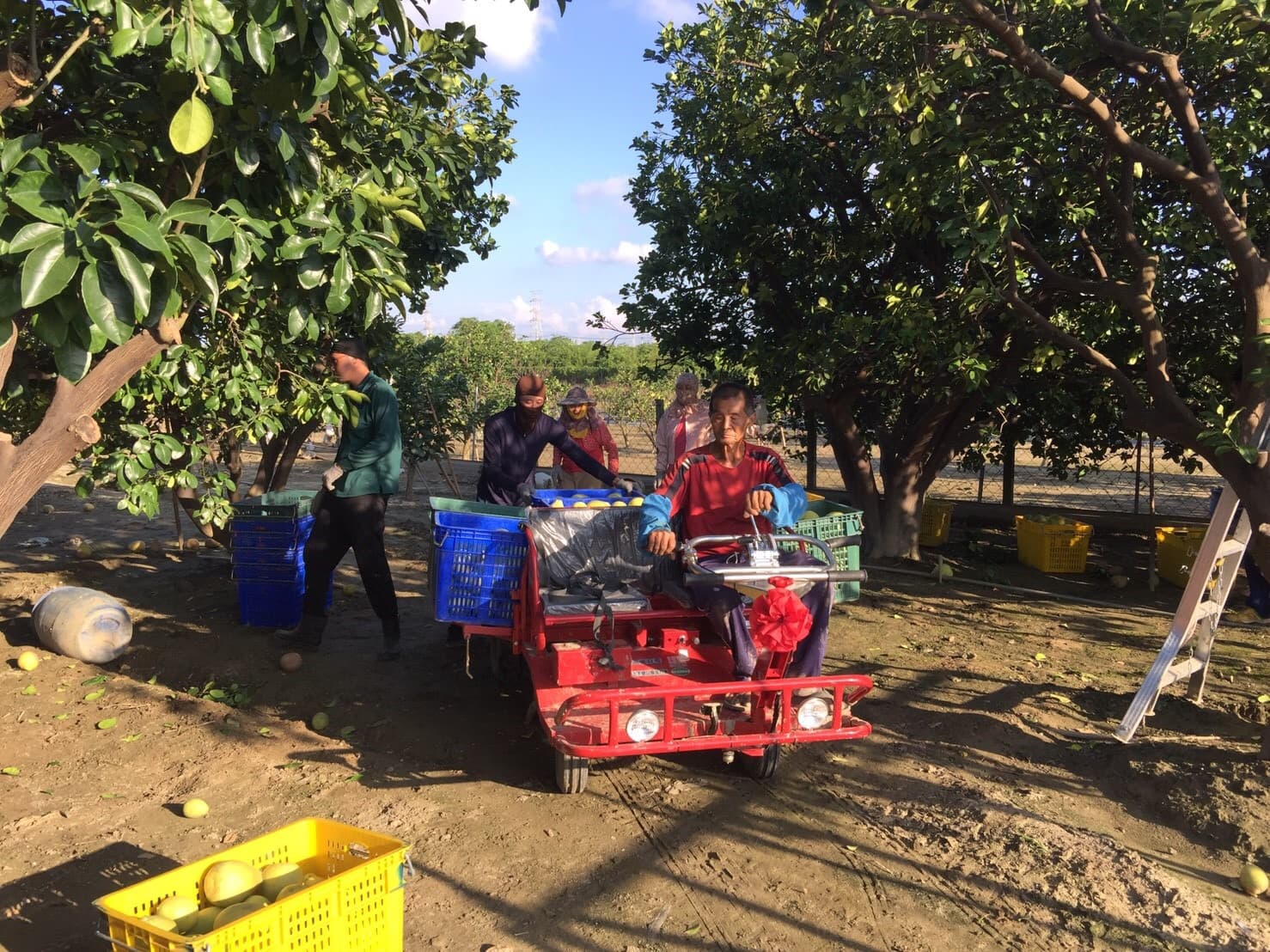 Background image 125