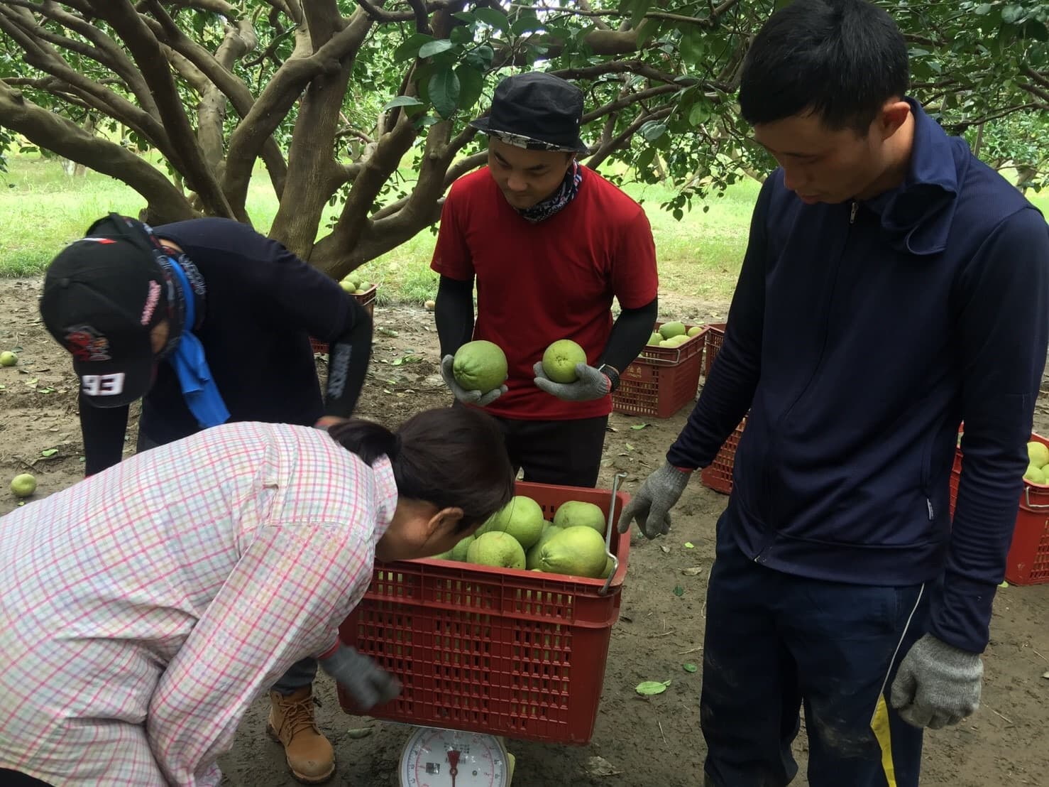 Background image 126