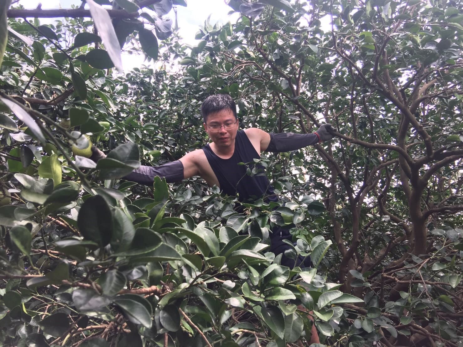 Background image 127