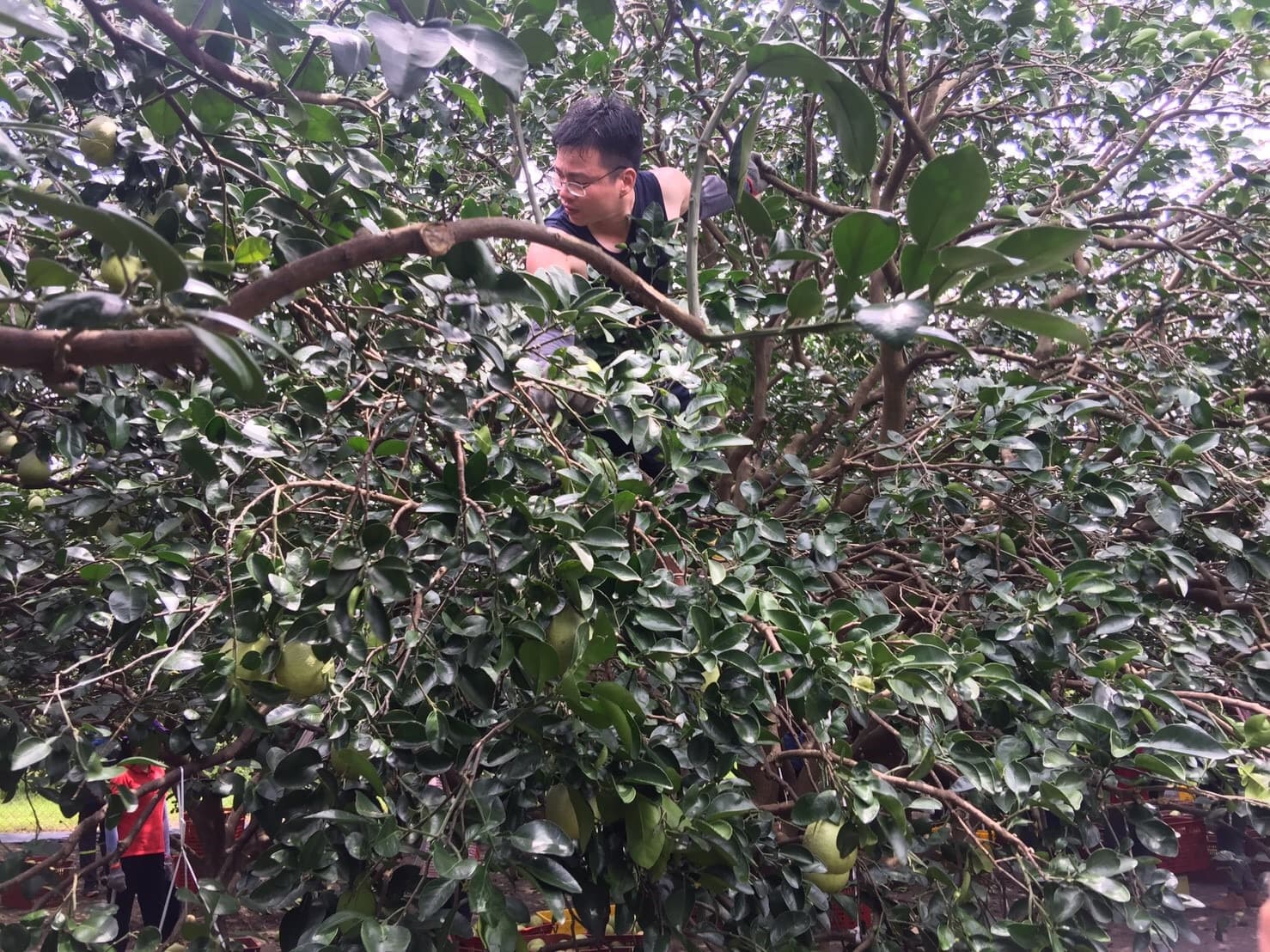 Background image 128