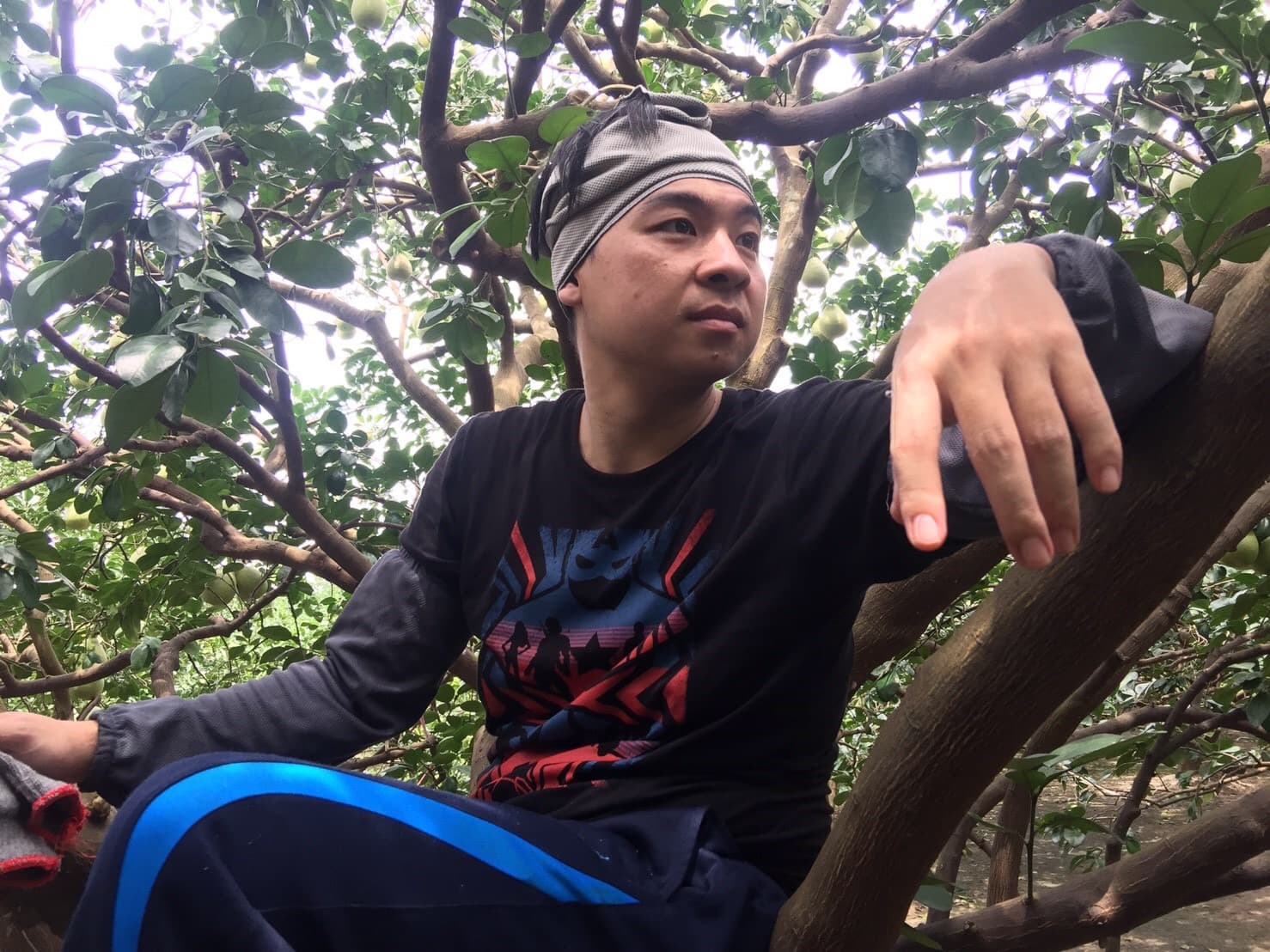 Background image 129