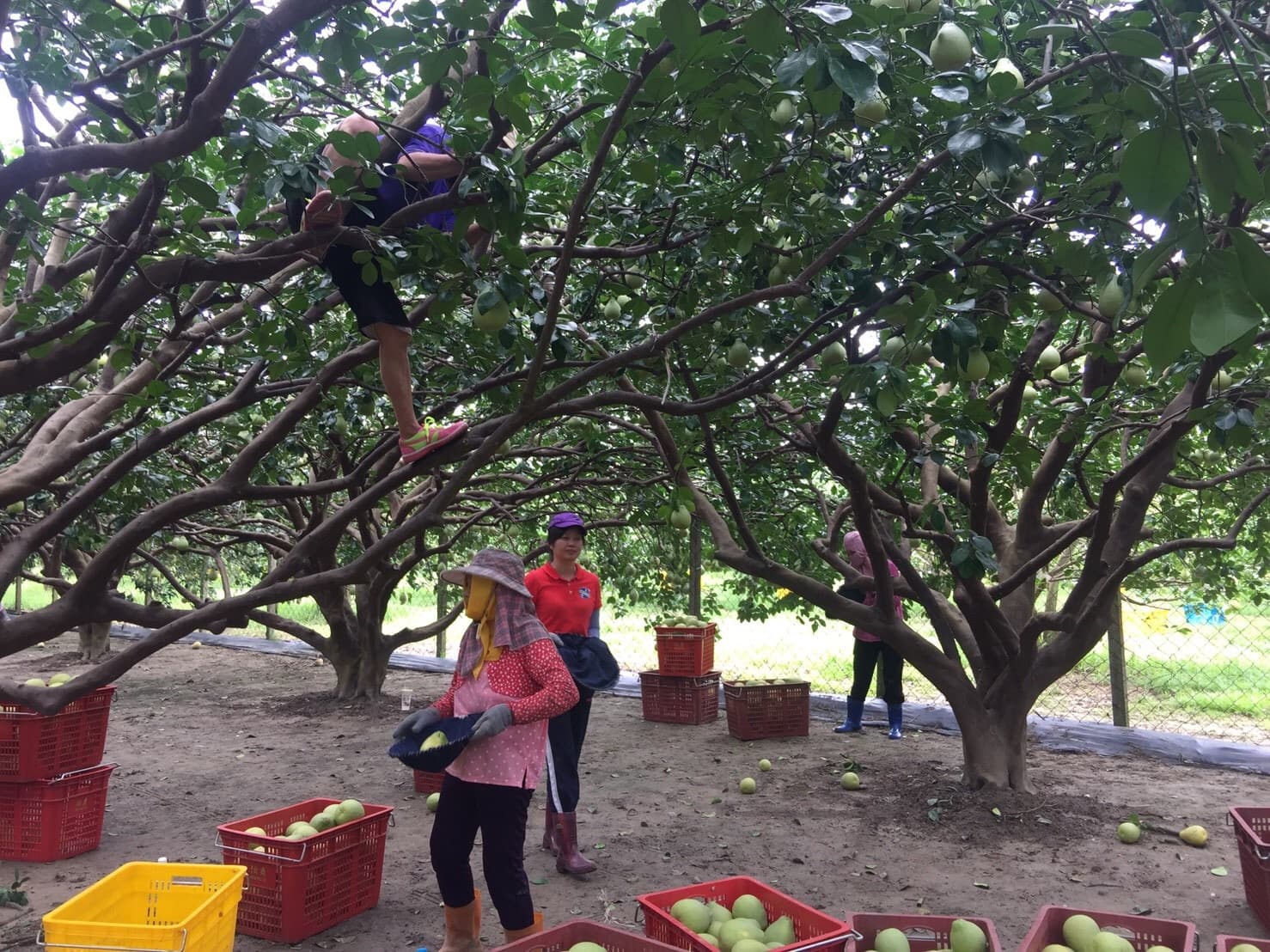 Background image 130