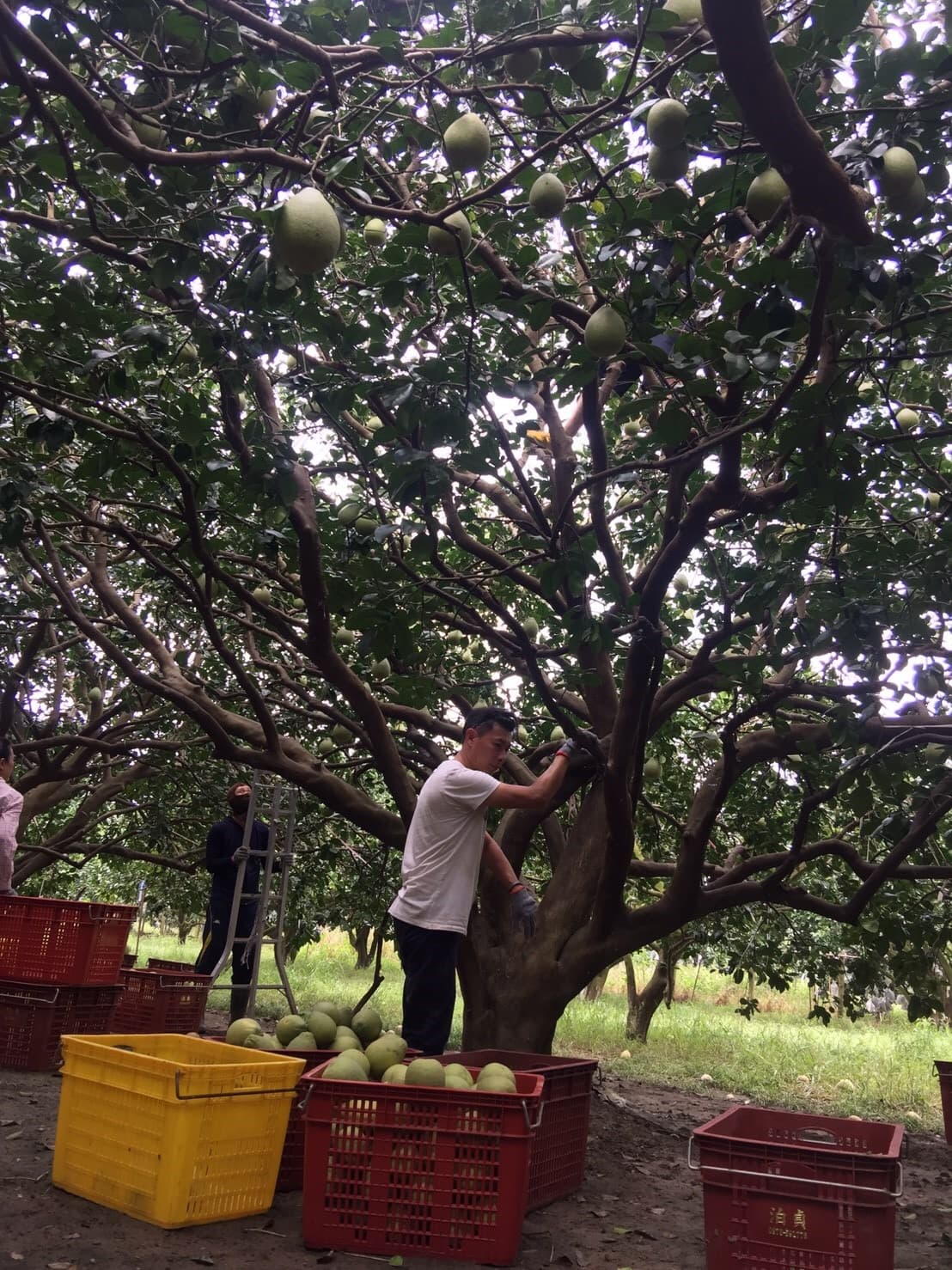 Background image 131