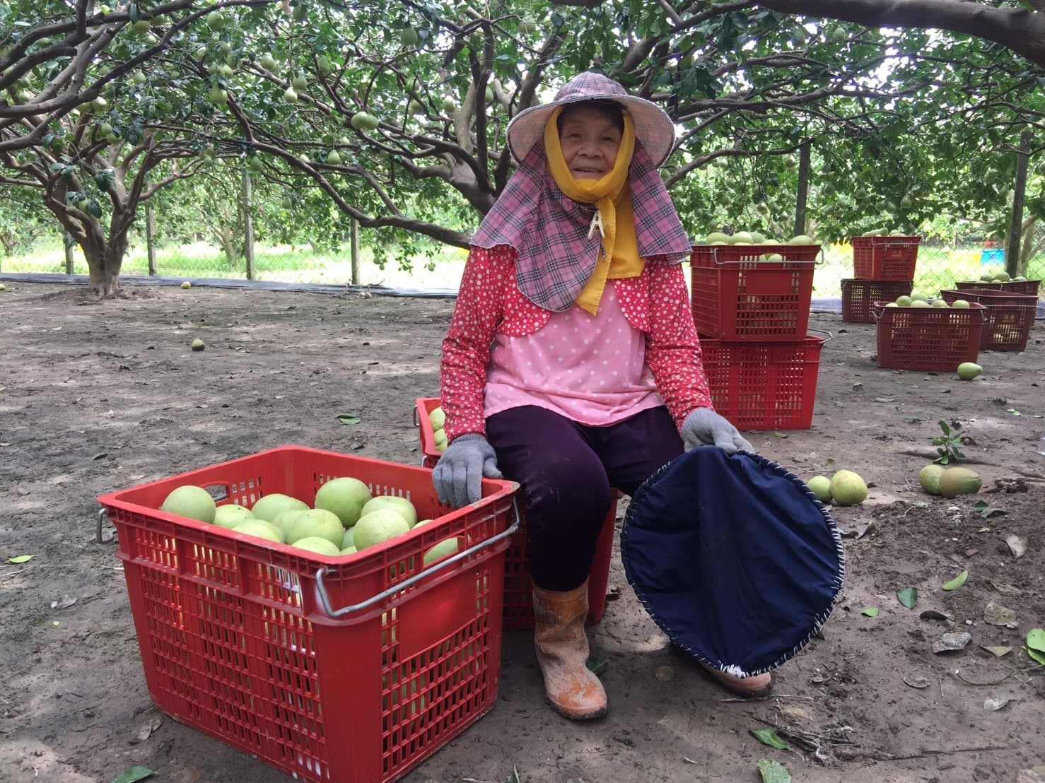 Background image 133