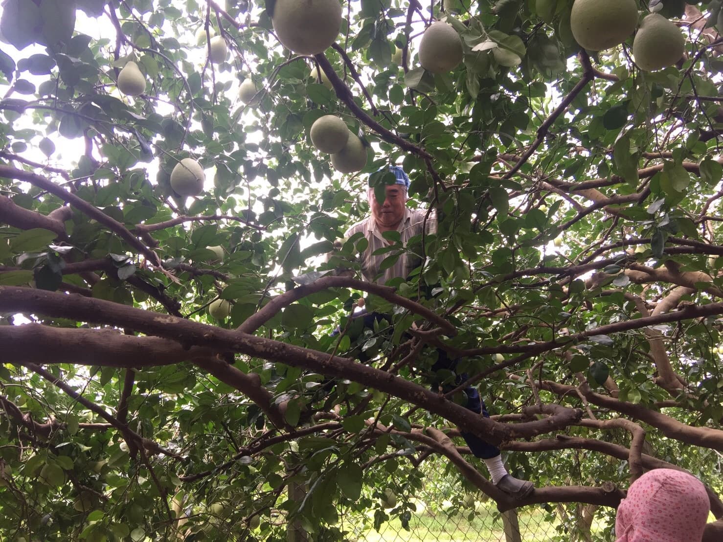 Background image 134