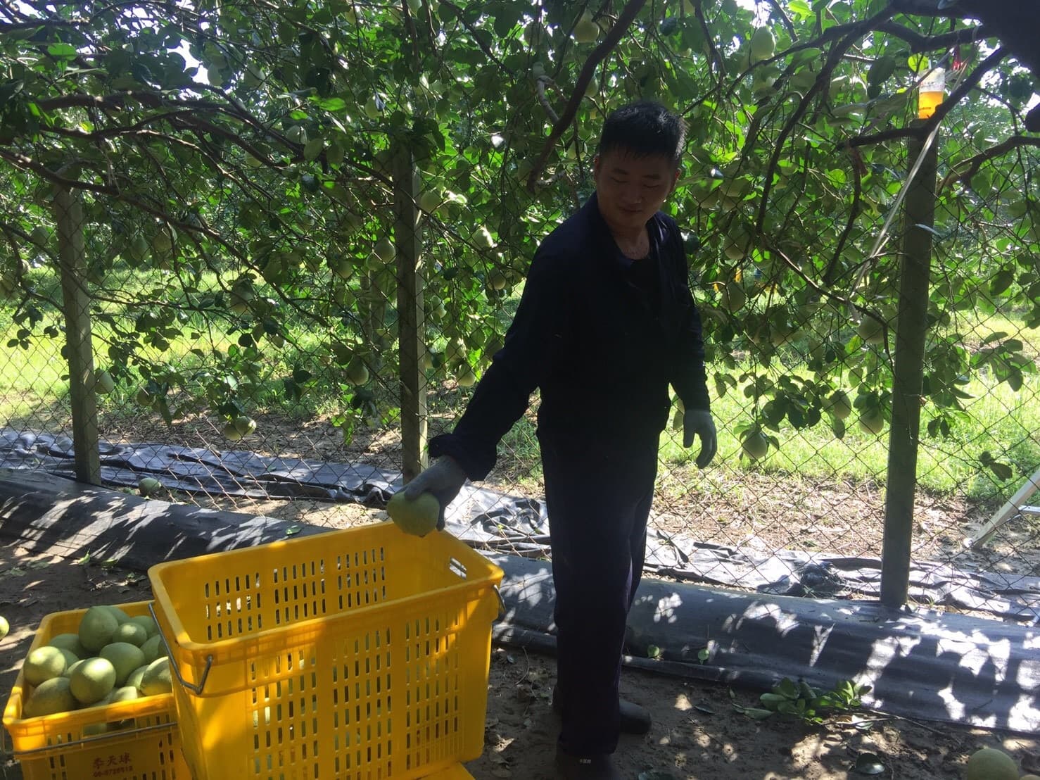 Background image 135