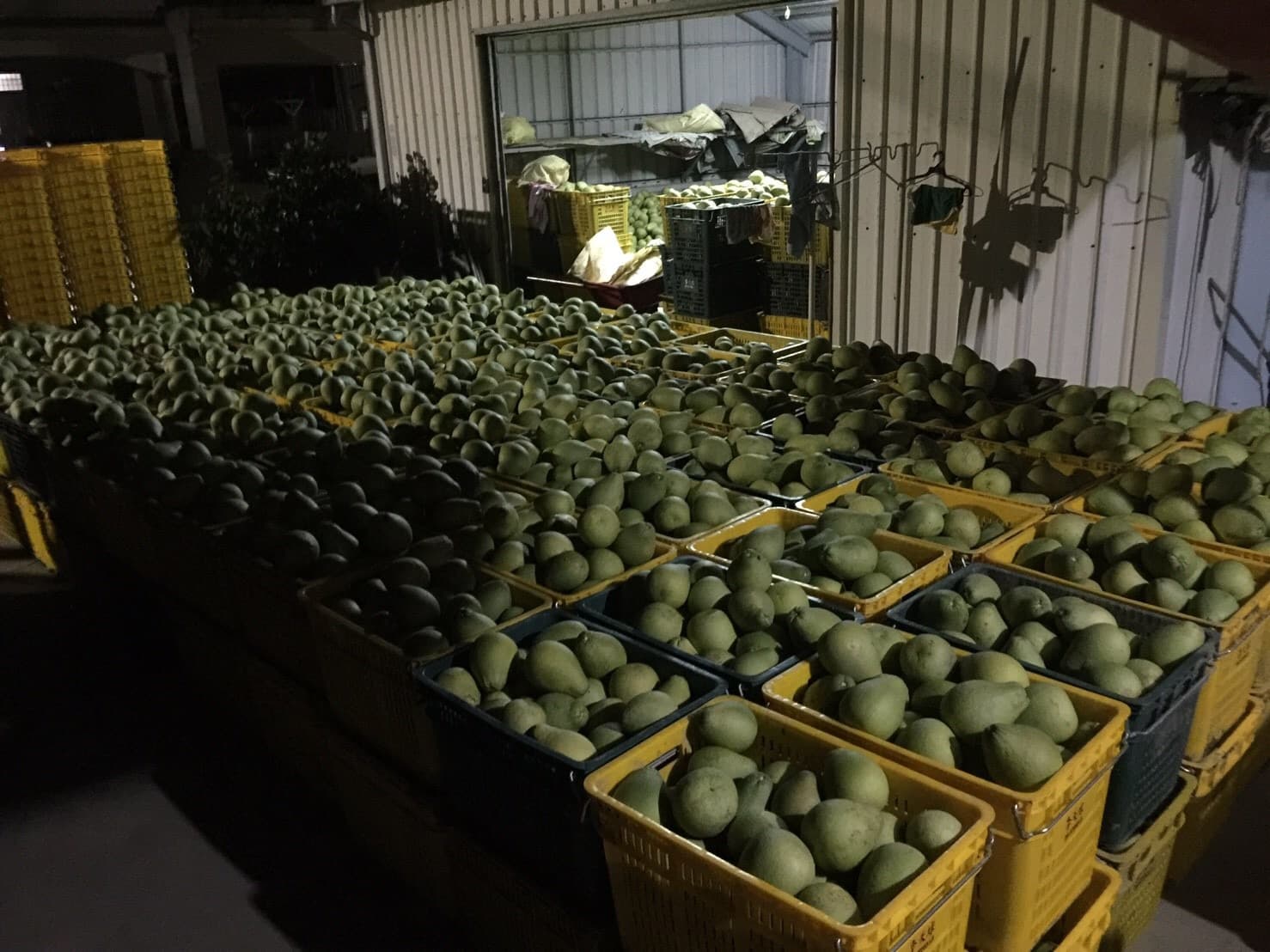 Background image 136