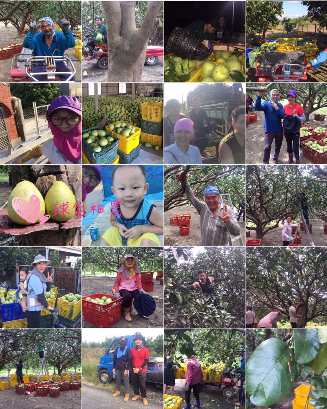 Background image 137