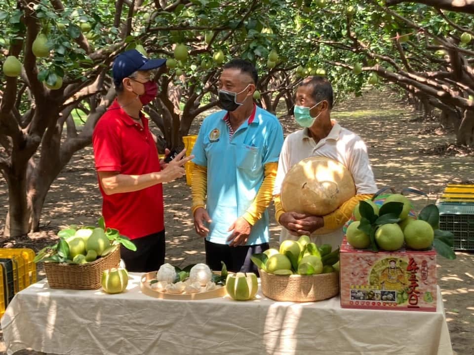 滿益老欉文旦主展區照片